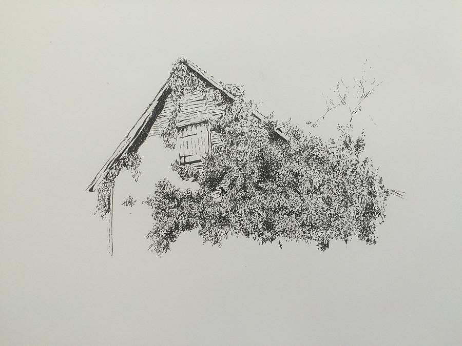 Overgrown Drawing by Hannah Qureshi Fine Art America