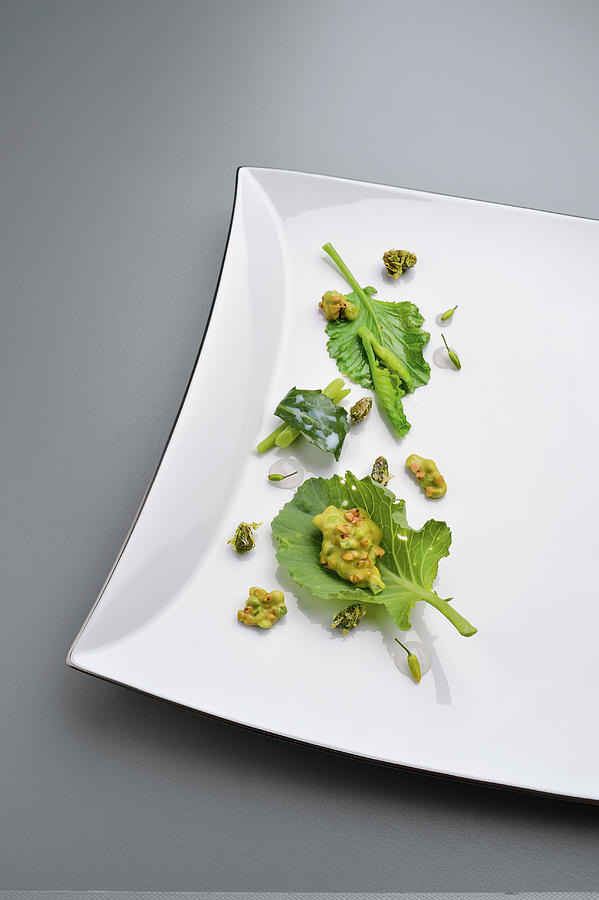 Overgrown White Cabbage With Pistachio Cream And Buckwheat Photograph by Tre Torri