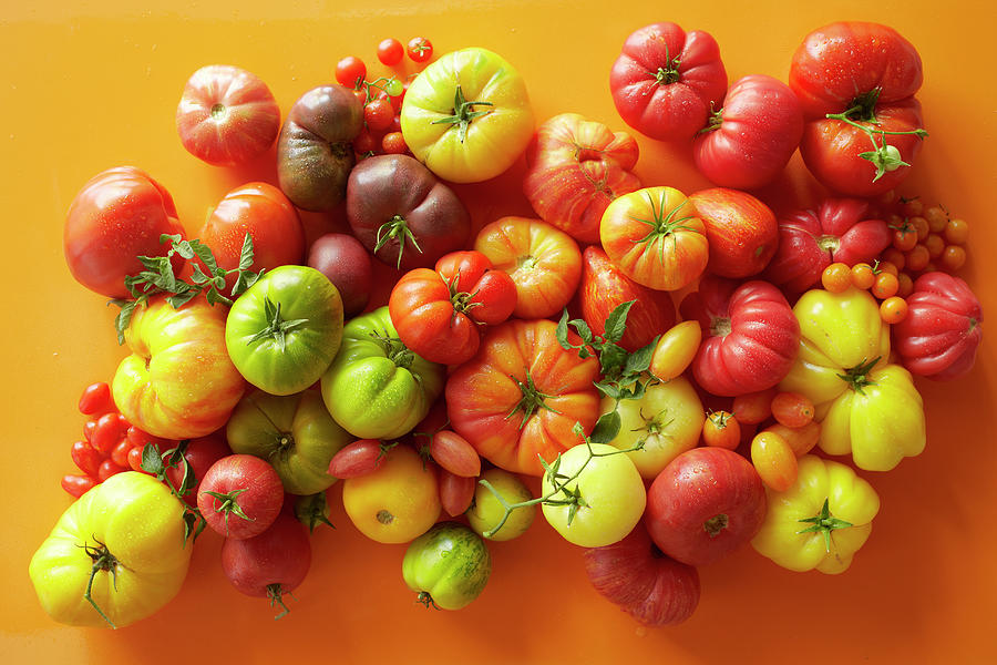 Overhead Of A Variety Of Tomatoes Photograph by Annabelle Breakey Overhead Of A Variety Of Tomatoes Photograph by Annabelle Breakey