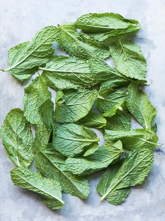 Overhead View Of Mint Leaves Digital Art by Magdalena Niemczyk ...