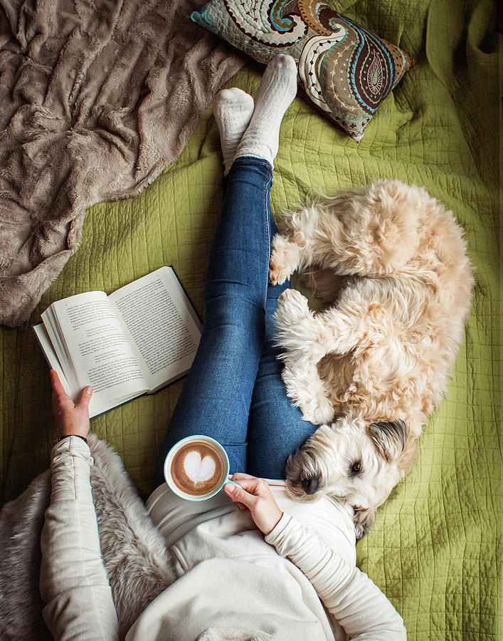 Coffee Photograph - Overhead View Of Womans Torso On A Bed With A Book, Coffee And A Dog. by Cavan Images