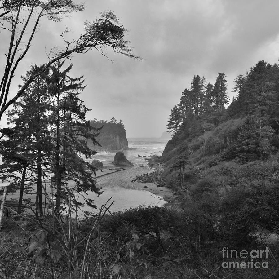 Overlook at Ruby Photograph by Jeni Gray 