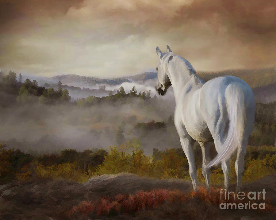 Overlook by Melinda Hughes-Berland Overlook by Melinda Hughes-Berland
