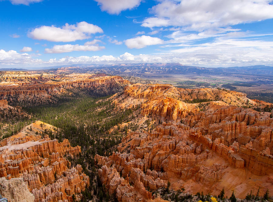 Overlooking Bryce Canyon Hoodoo Formations Photograph by L Bosco