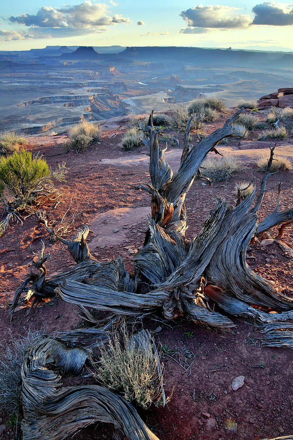Overlooking Green River in Canyonlands NP Photograph by Ray Mathis