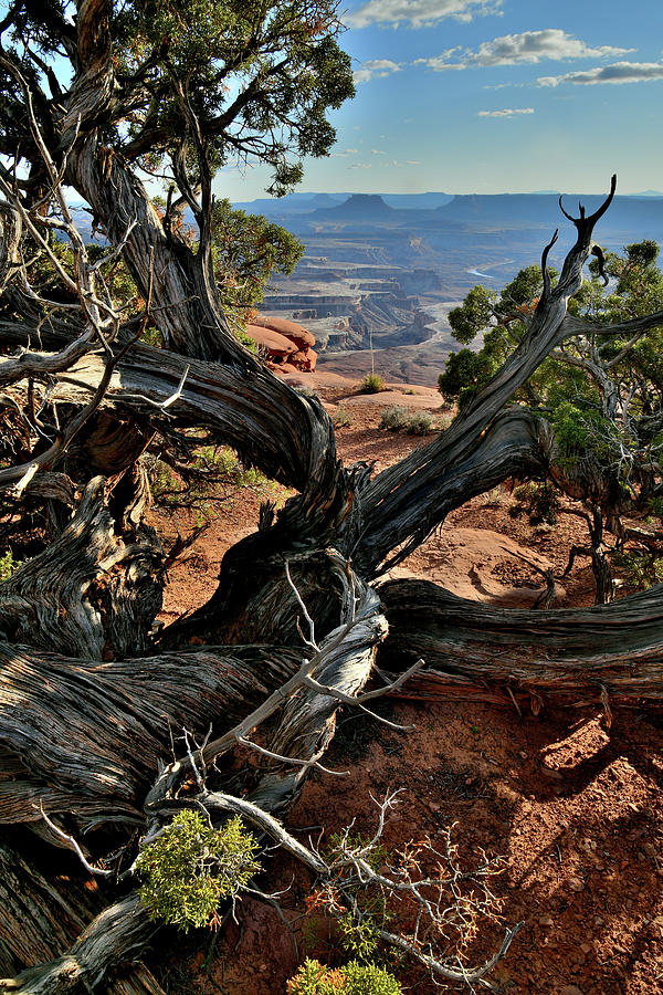 Overlooking Green River in Canyonlands Photograph by Ray Mathis