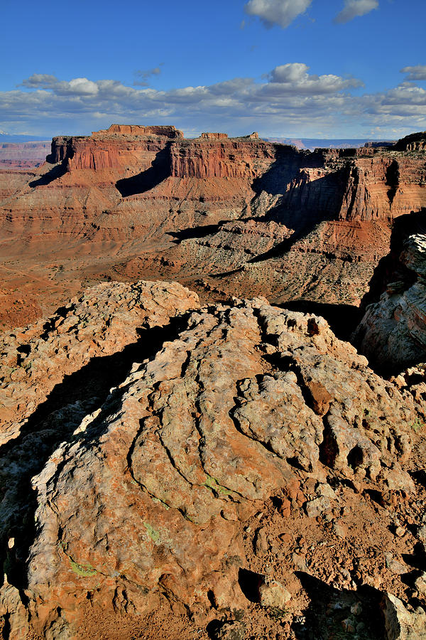 Overlooking Shafer Canyon and Trail in Canyonlands NP Photograph by Ray Mathis