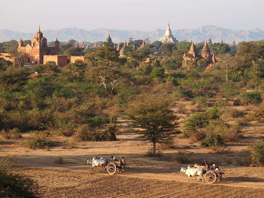 Overview Of Bagan Photograph by Stefan Hajdu