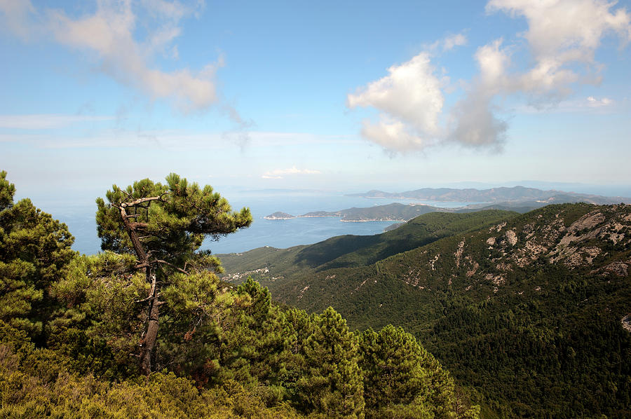 Overview Of Elba Island Photograph by Scacciamosche