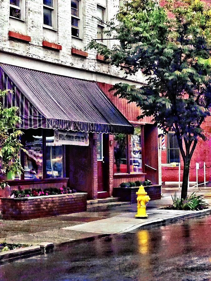 Owego NY - Fire Hydrant by Barber Shop Photograph by Susan Savad
