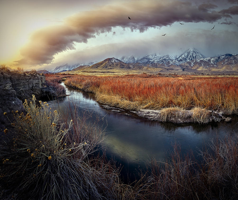Owens River At Sunrise Photograph by Kirbyturnage