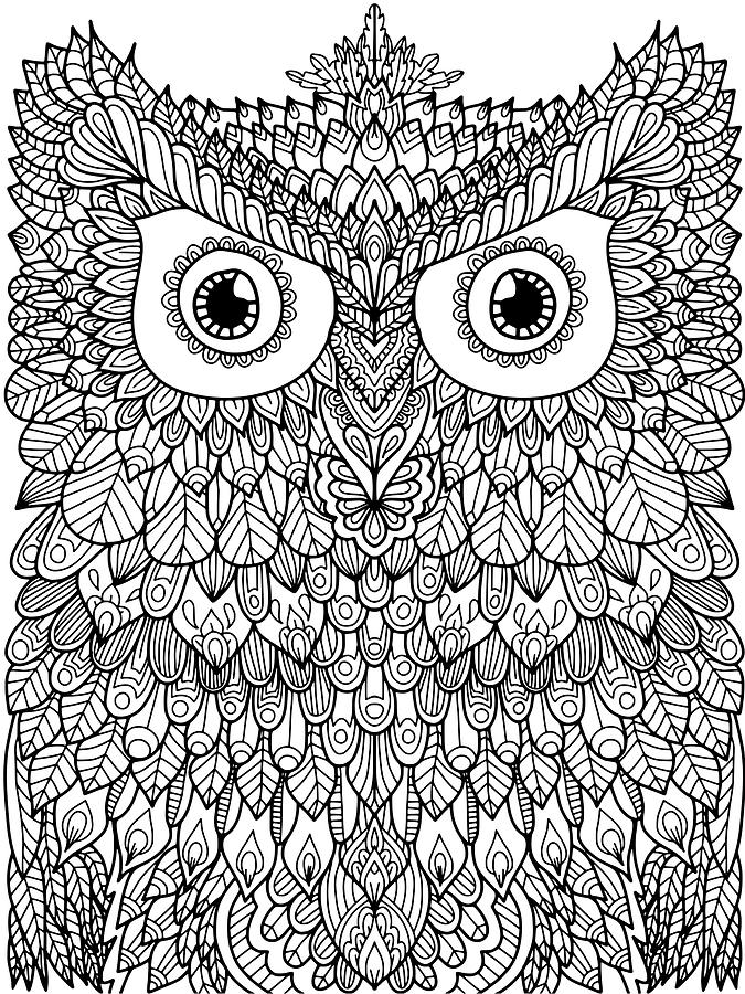 Animal Mixed Media - Owl 1 by Delyth Angharad