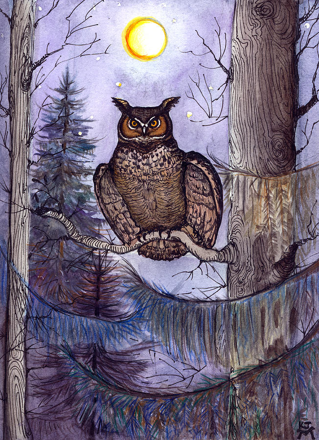 Owl Amid The Evergreen Painting by Katherine Miller