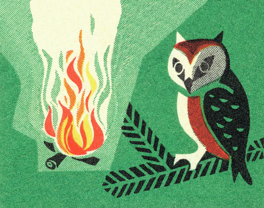 Nature Drawing - Owl and campfire by CSA Images