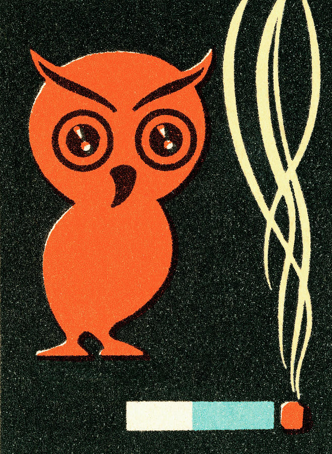 Owl Drawing - Owl and cigarette by CSA Images