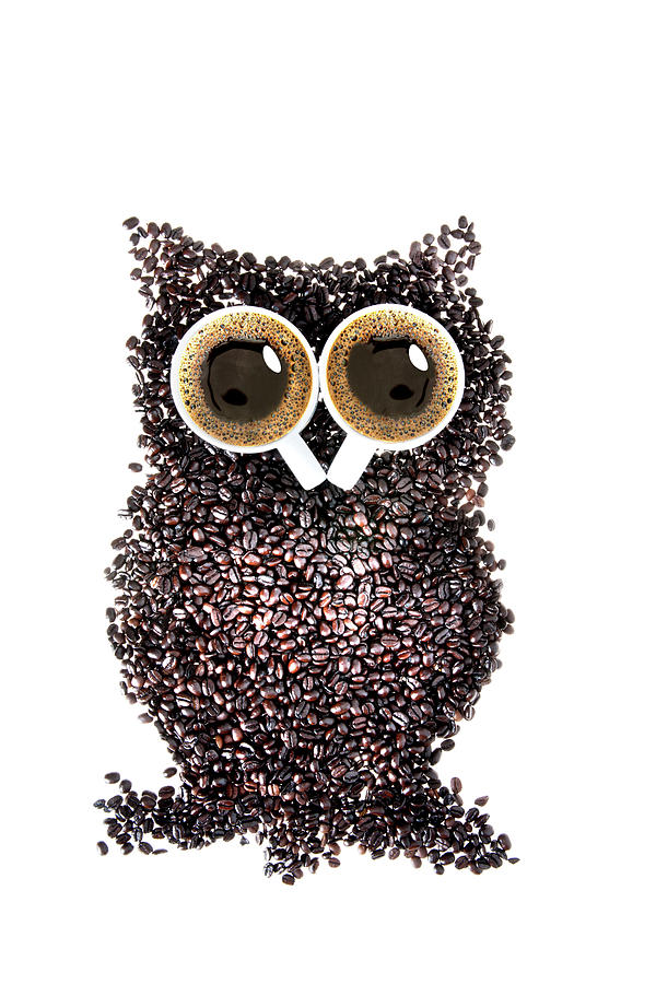Owl Coffee Photograph by 101cats