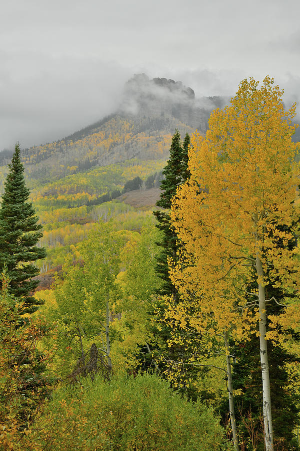 Owl Creek Pass Road Fall Colors Photograph by Ray Mathis