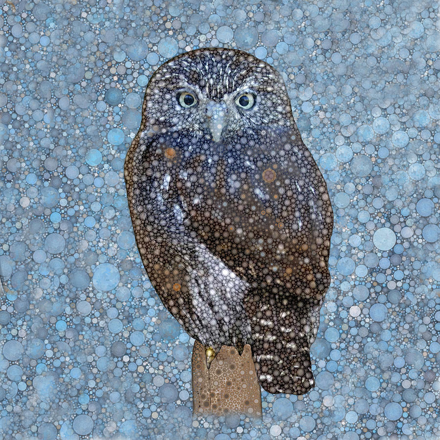 Owl Digital Art by Daniel McPheeters