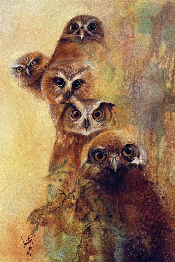 Owl Painting - Owl Expressions by Denton Lund
