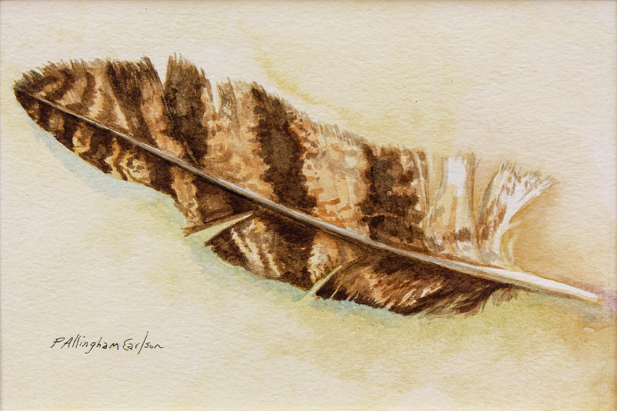 Owl Painting - Owl Feather by Patricia Allingham Carlson