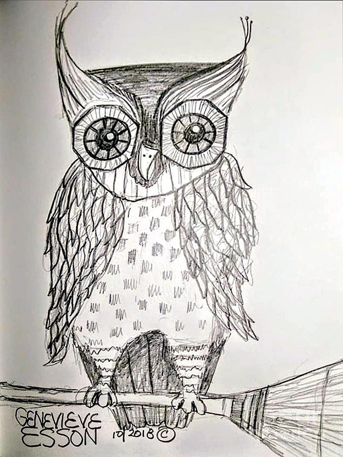 Owl Drawing by Genevieve Esson