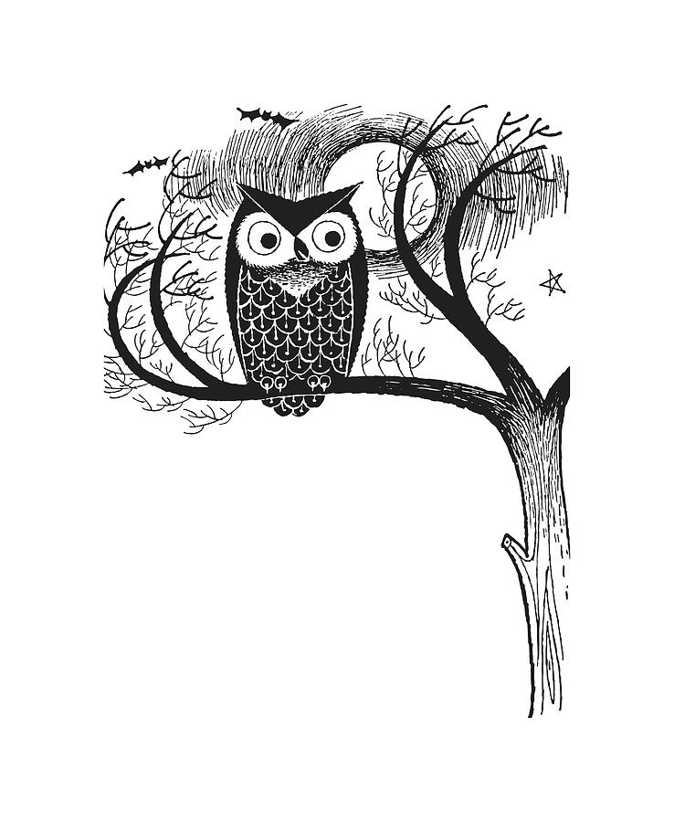 Owl in Tree Drawing by CSA Images Fine Art America