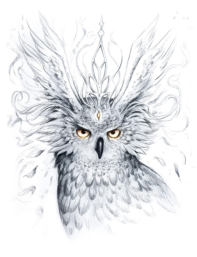 Owl Mixed Media - Owl by Jojoesart