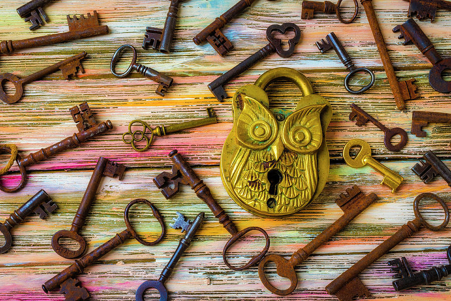 Owl Lock And Old Keys Photograph by Garry Gay