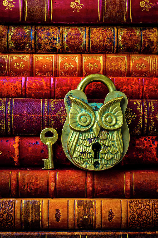 Owl Lock On Old Antique Books Photograph by Garry Gay
