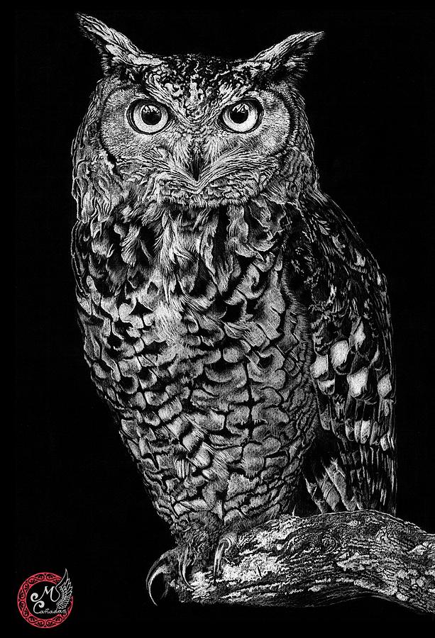 black owl drawing