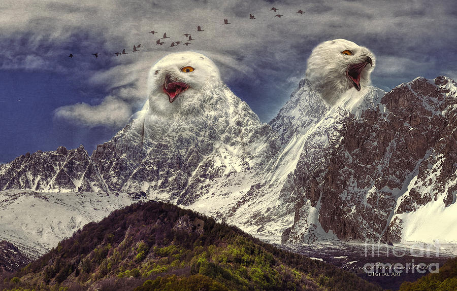 Owl Mountain Photograph by Kira Bodensted