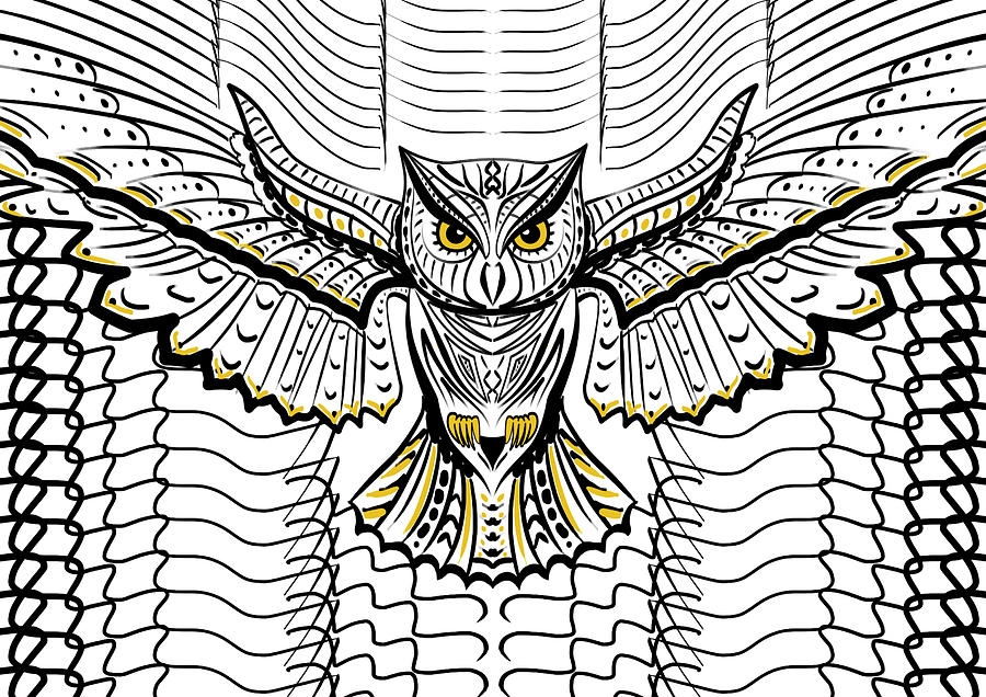 OWL Digital Art by Nelson Barros