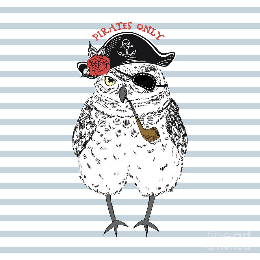 Small Digital Art - Owl Pirate, Nautical Poster, Hand Drawn by Olga angelloz Small Digital Art - Owl Pirate, Nautical Poster, Hand Drawn by Olga angelloz