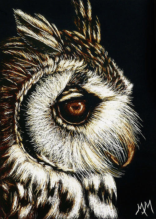 Owl Portrait by Monique Morin Matson Owl Portrait by Monique Morin Matson