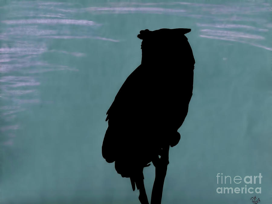 Owl Silhouette Drawing by D Hackett