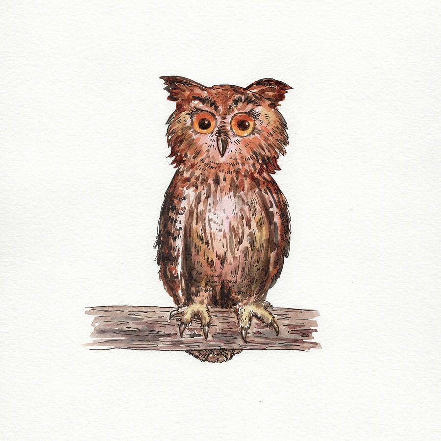 Owl Squared Watercolor Painting by Irina Sztukowski
