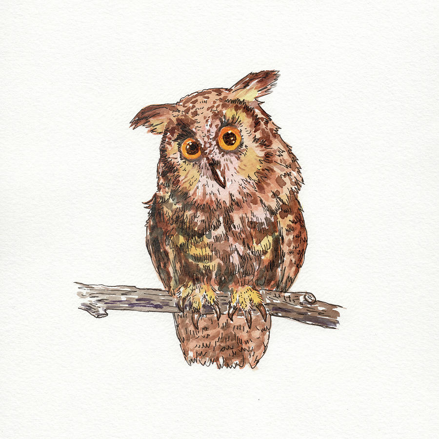 Owl Squared Watercolour  Painting by Irina Sztukowski