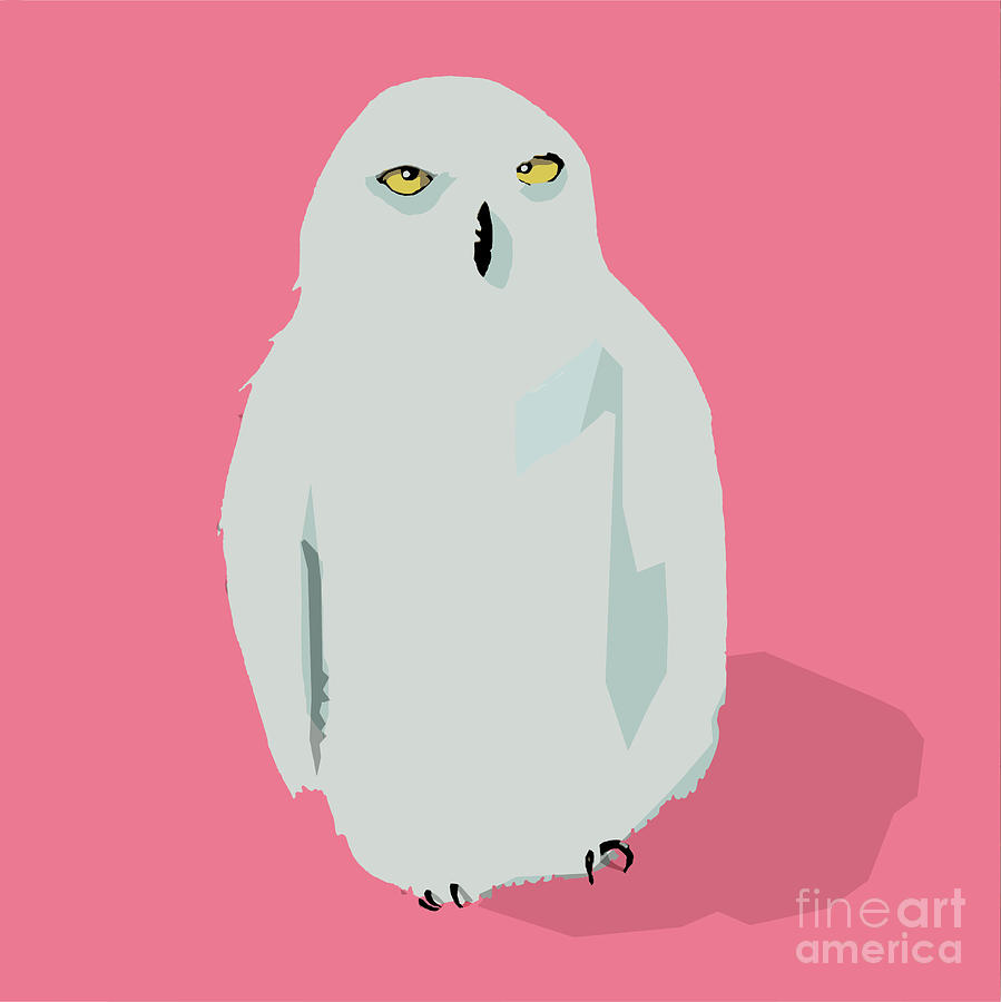 Owl Digital Art by Thomas Macgregor