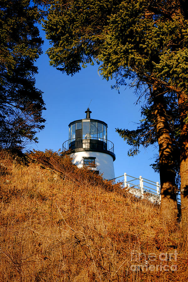 Owls Head Light First Glimpse  Photograph by Olivier Le Queinec