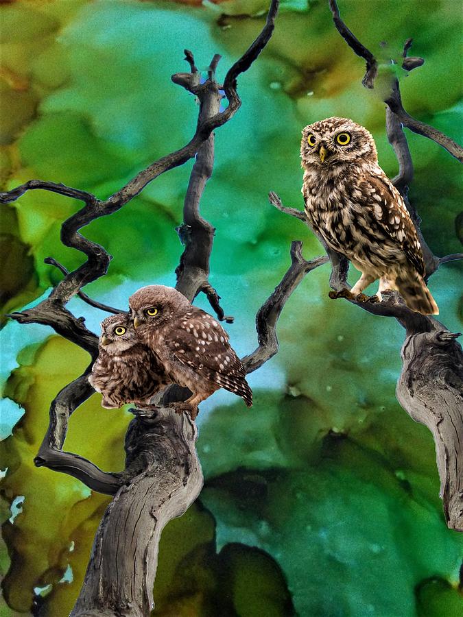 Owls Mixed Media by Mary Poliquin - Policain Creations