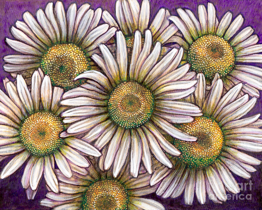 Ox-Eyed Daisy Colony Painting by Amy E Fraser