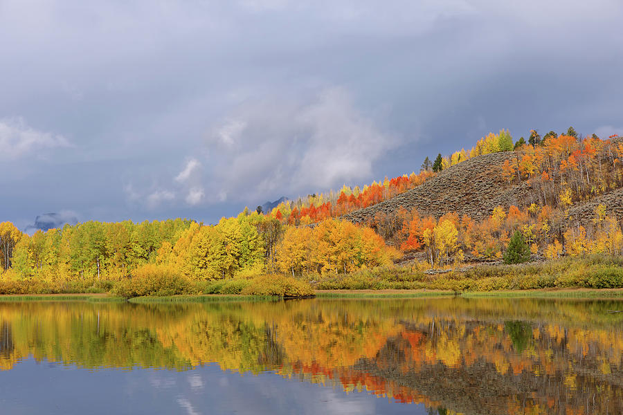 Oxbow Autumn on the Snake River  Photograph by Kathleen Bishop