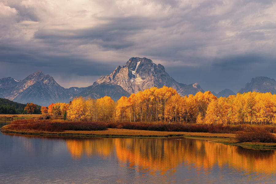 Oxbow Bend Aspens Photograph by Jeff Boone | Fine Art America