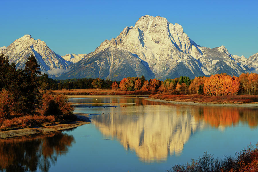 Oxbow Bend Autumn 2019 Photograph by Greg Norrell
