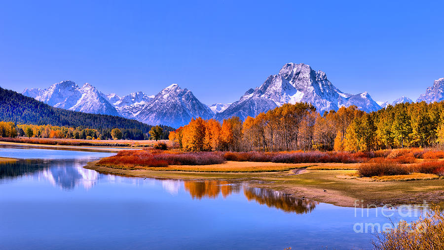 Oxbow Bend Autumn Reflections Photograph by Adam Jewell