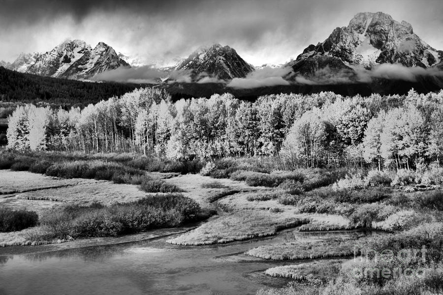 Oxbow Bend Fall Foliage Landscape Black And White Photograph by Adam Jewell