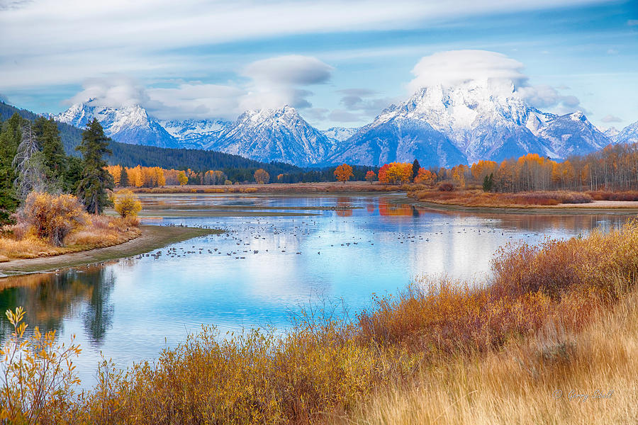 Oxbow Bend GTNP Photograph by Gerry Sibell