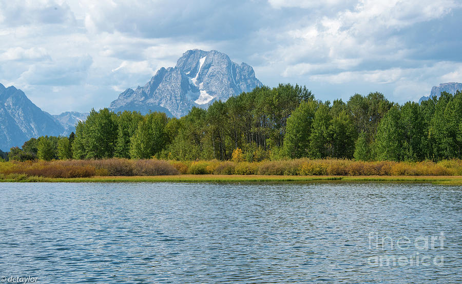 Oxbow Bend Jackson WY Photograph by David Taylor - Fine Art America