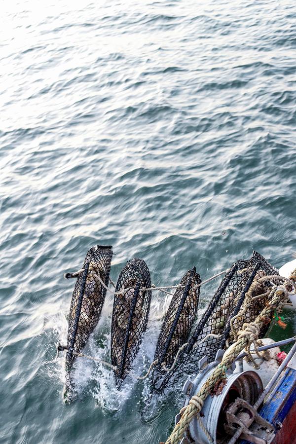 Oyster Baskets On A Fishing Boat Photograph by Great Stock!