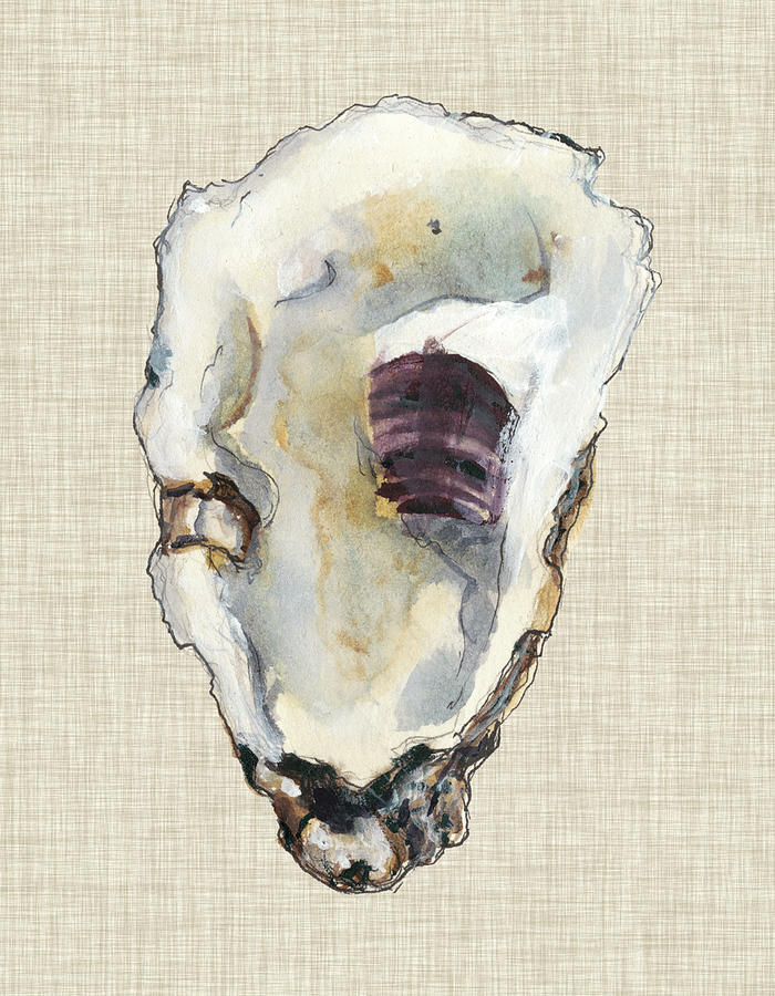 Oyster Shell Study IIi Painting by Michael Willett